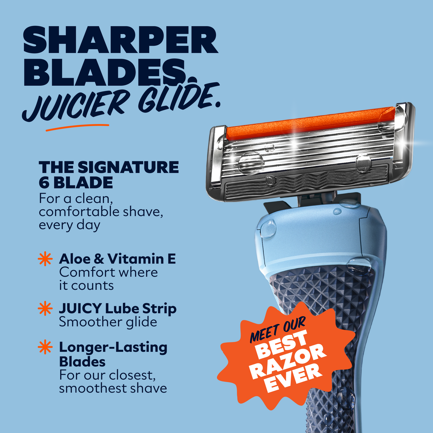 The Signature 6 Blade Razor